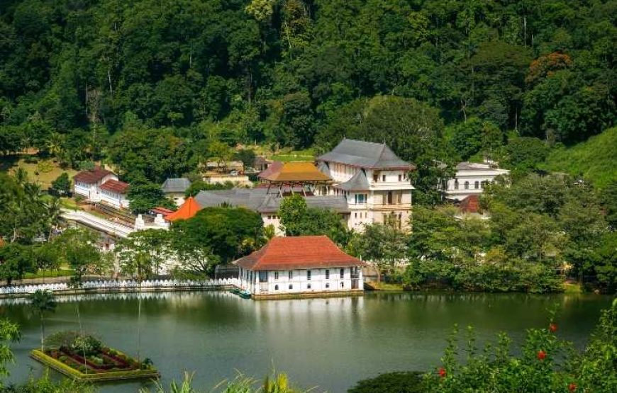 7 Days of Sri Lanka