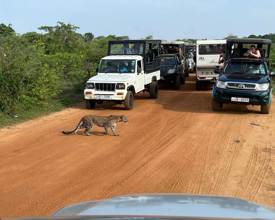 Day 5 – Ella → Tissamaharama/Yala