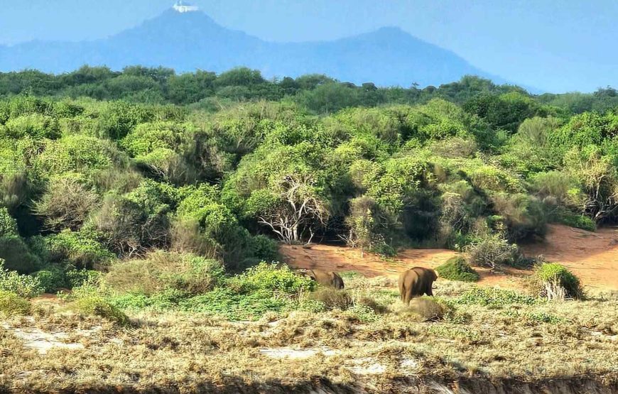 Highlights of Sri Lanka