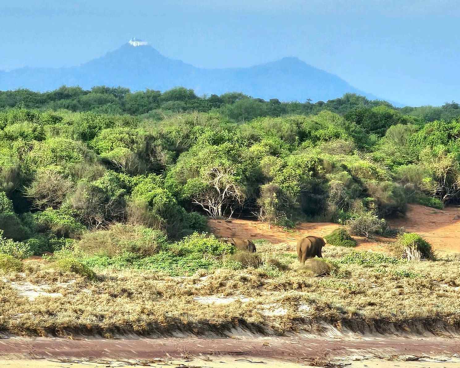 Day 4 – Galle → Yala National Park