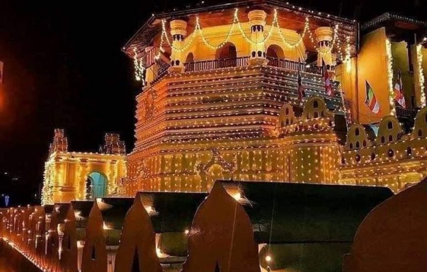 7 Days of Sri Lanka
