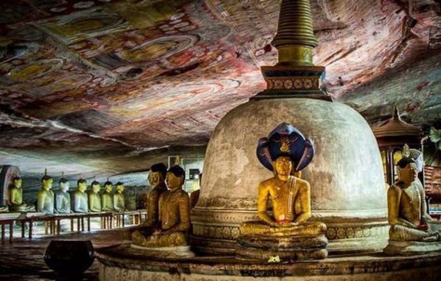 Highlights of Sri Lanka