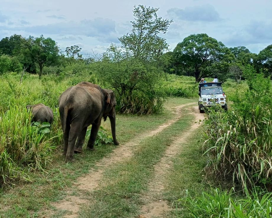 Day 5 – Ella → Tissamaharama/Yala 