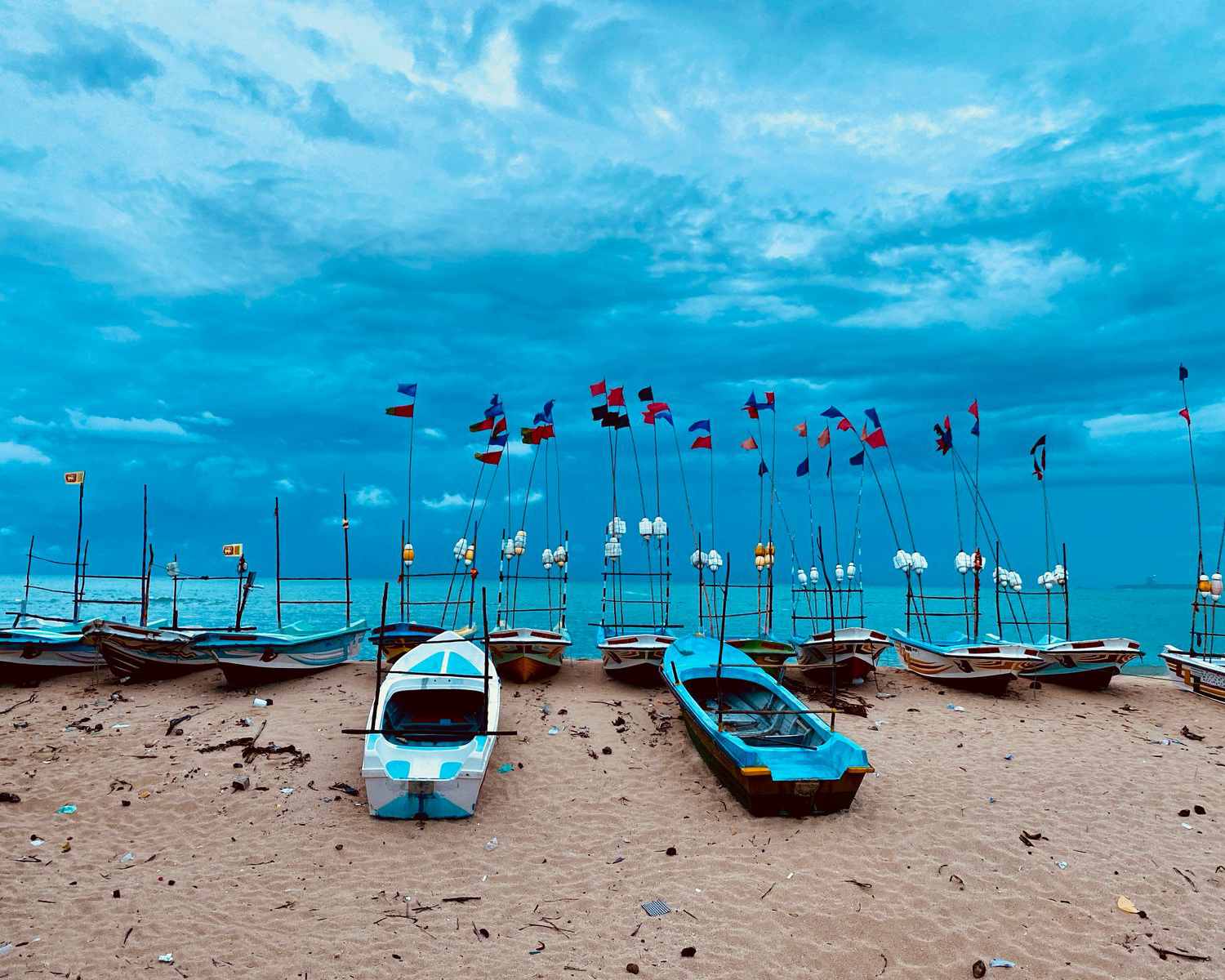 Day 6 – Mirissa → Colombo / Airport