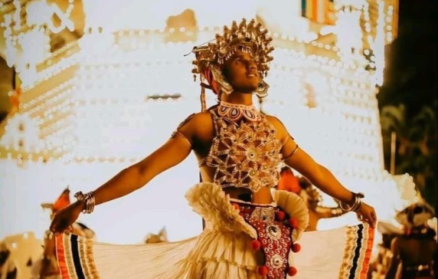 7 Days of Sri Lanka