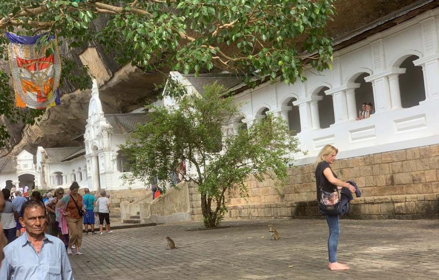 Best of Sri Lanka