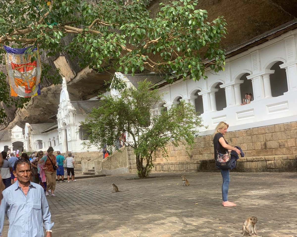 Day 1 – Colombo/Negombo → Sigiriya