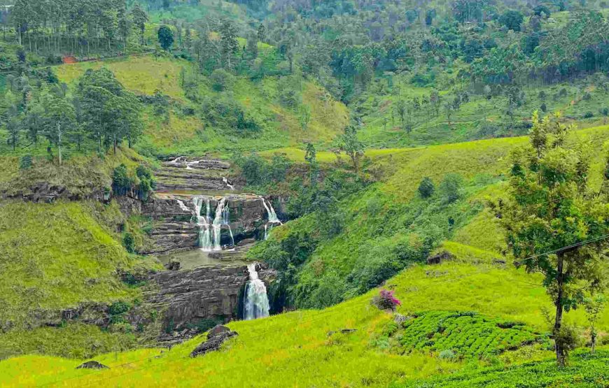 Kandy to Ella Day Adventure