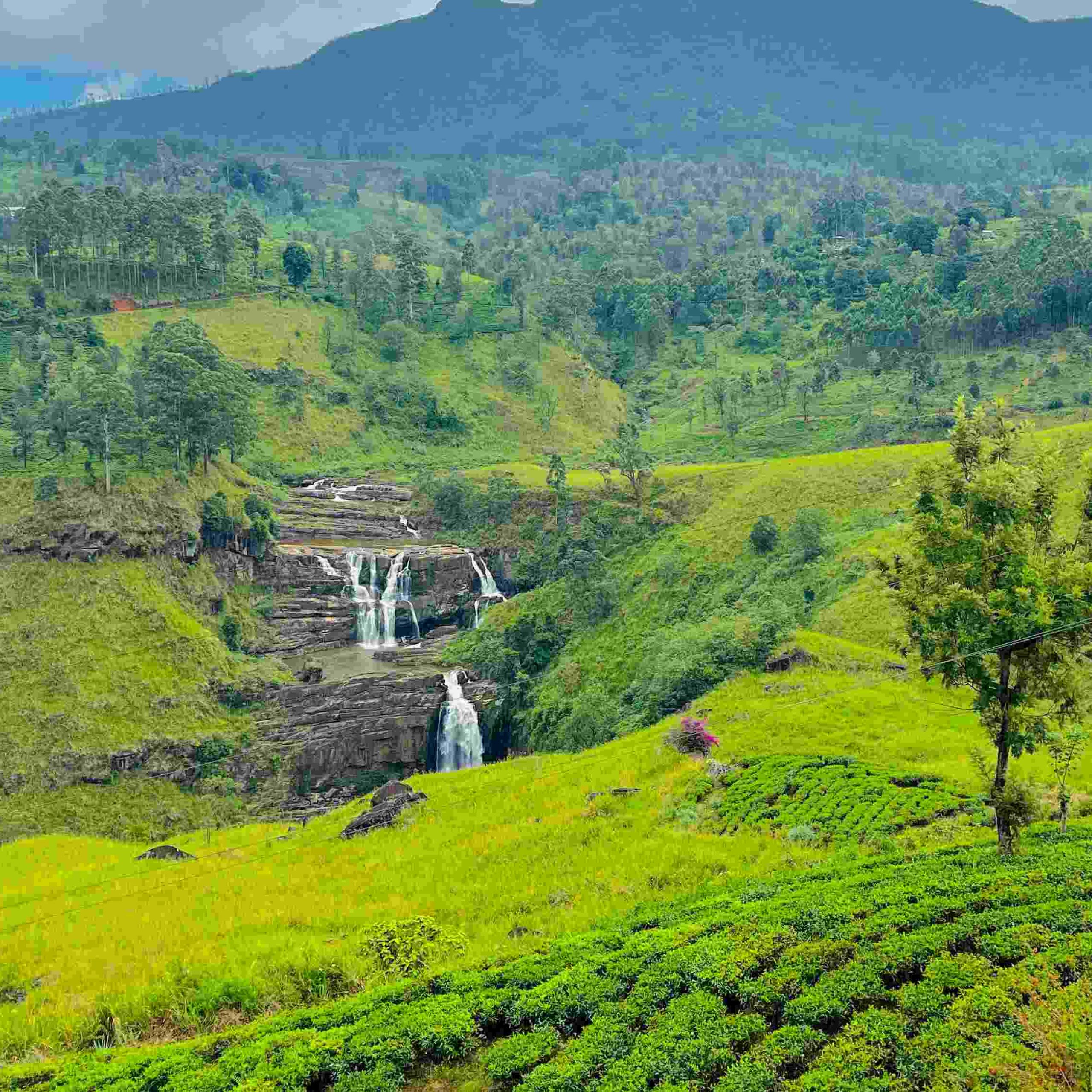 Day 3 – Kandy → Nuwara Eliya