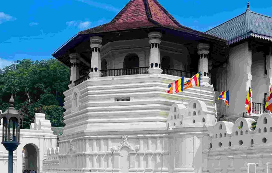 Highlights of Sri Lanka